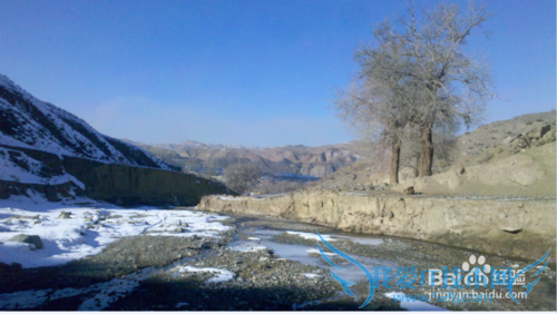 ÔÂн3000ÔªÈçºÎÀí²Æ