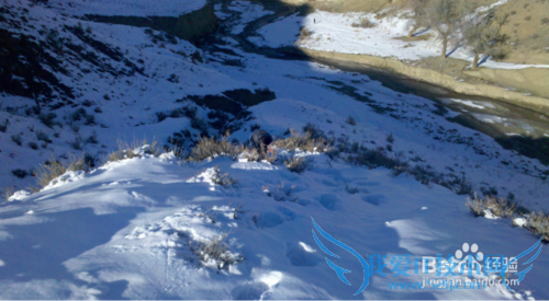 ÔÂн3000ÔªÈçºÎÀí²Æ