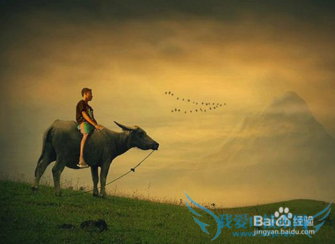 如何制定个人五年规划