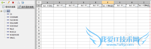 javaFineReportбhsqlݿĽ