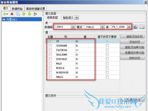 javaFineReportбhsqlݿĽ