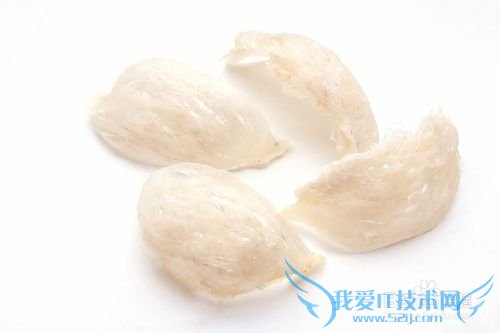 逢年过节长辈生日你该送什么礼品