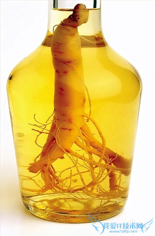 逢年过节长辈生日你该送什么礼品