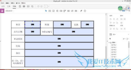 pdf form表单制作以及用java程序填充表单