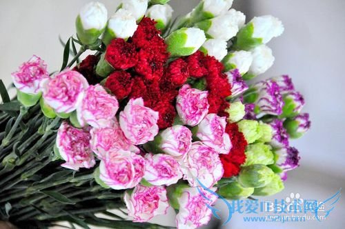 母亲节,适合送给妈妈的礼物