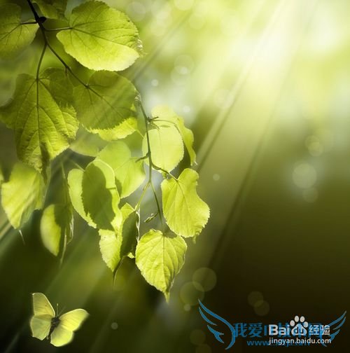 Java½Ì³Ì£ºJavaµÄÄÚ²¿Àà