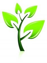 应该怎样学会理财和合理消费