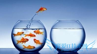 怎么样理财投资