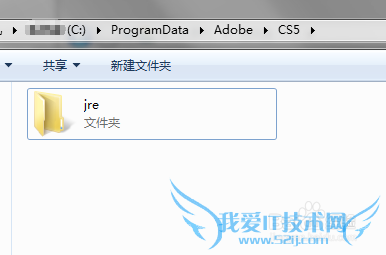 Java 运行时环境初始化时出现错误