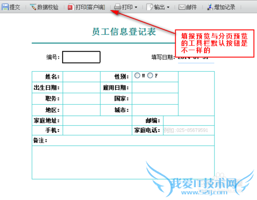 JavaͼFineReportͼԤ鿴