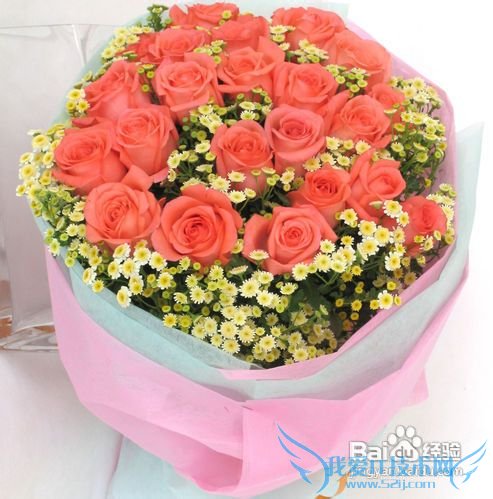 详解圣诞节送女友什么礼物好