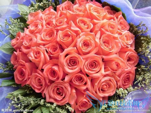 女朋友过生日送什么礼物好?