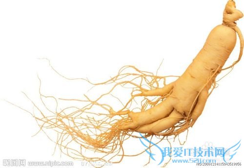 见女友父母送什么比较礼物?