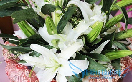 毕业时送些什么礼物?