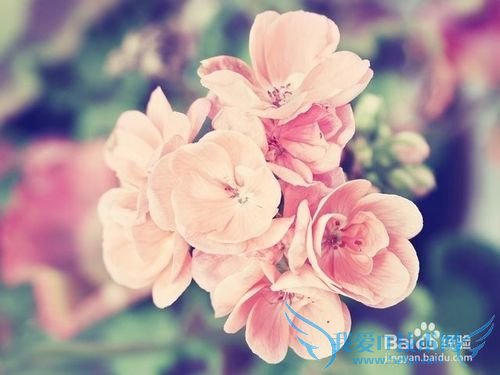 6种不可错过的生日礼物选择