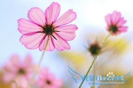 如何准备男友的生日礼物 个人礼物大曝光