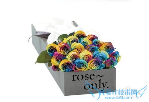 什么样的圣诞节礼物能给她惊喜