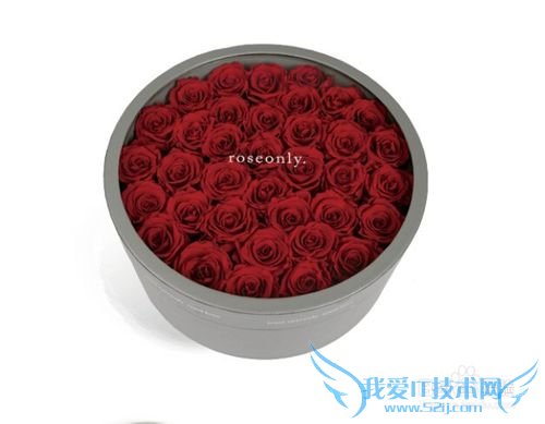 什么样的圣诞节礼物能给她惊喜