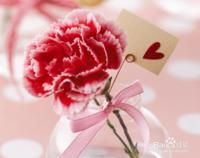 分享经验:母亲节最佳礼物排行榜