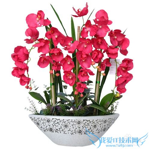 3.8妇女节送给老婆什么礼物好?