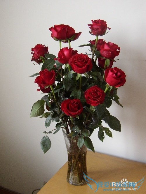 3.8妇女节送给老婆什么礼物好?