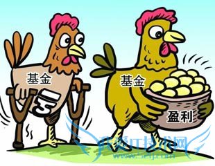 目前主流理财种类