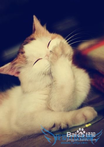 ŮϲʲôŮѿֵ10취