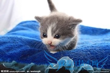 生日礼物送什么合适