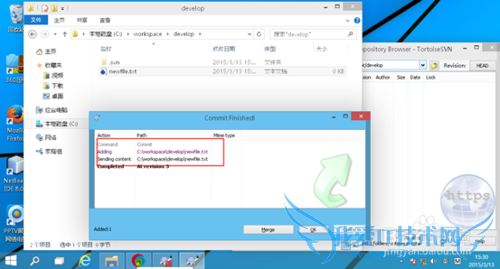 JAVA项目环境配置 -- SVNclient使用篇
