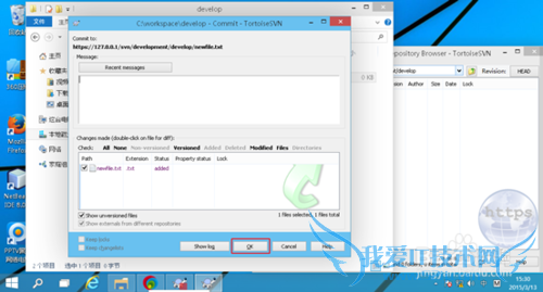 JAVA项目环境配置 -- SVNclient使用篇