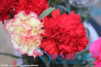 母亲节适合送的礼物