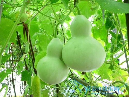 个人投资和理财的基本知识