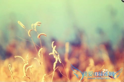 教师节送老师什么礼物好呢?