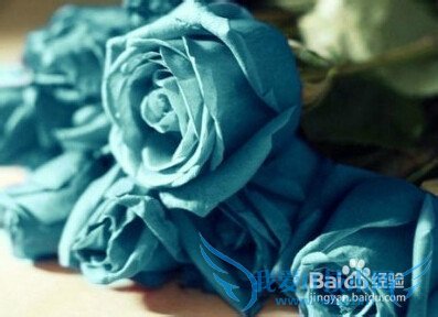 情人节送女朋友什么礼物好