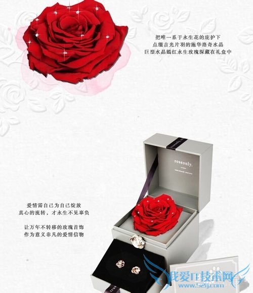 结婚周年礼物什么好