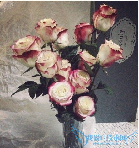 结婚周年礼物什么好