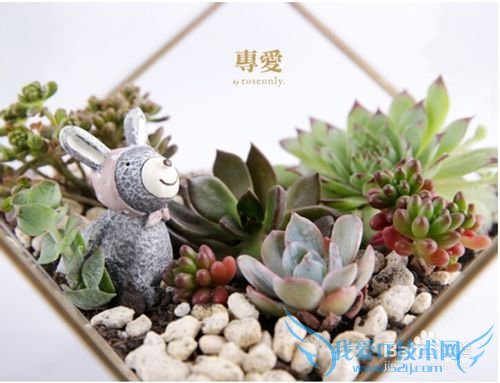 结婚周年礼物什么好