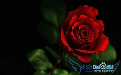 怎样选择礼物给喜欢的女生?