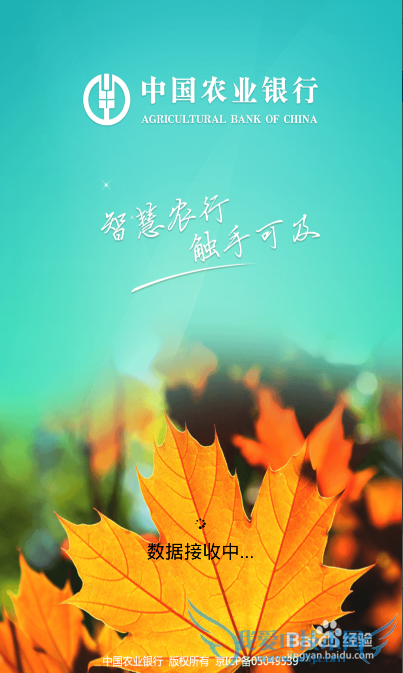 怎么查询农业银行理财产品