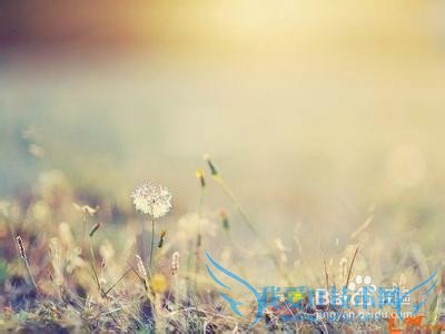 送女友生日礼物什么好?