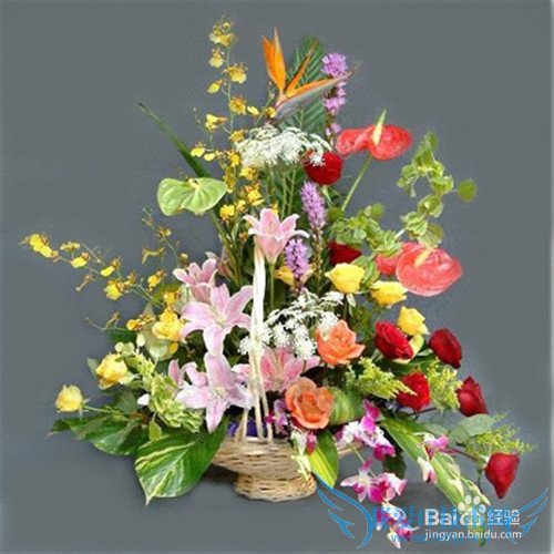 教师节送老师礼物宝典