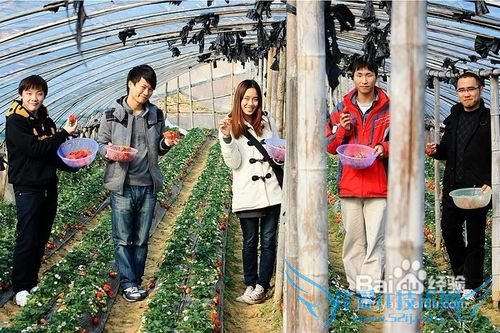 2012白色情人节礼物推荐浪漫又平常
