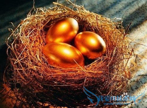 理财技巧 教你三招轻松搞定理财