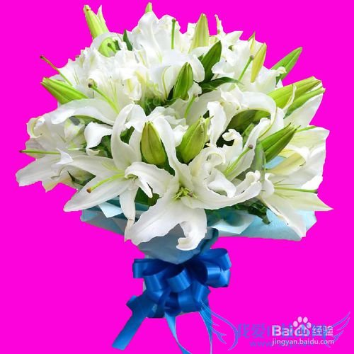 教师节给导师送什么礼物好