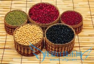 春节健康礼物送什么?