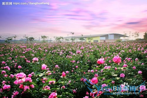 女友生日应该送什么礼物