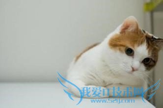 选择什么样的礼物送给喜欢的女生(男生篇)