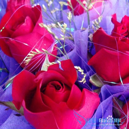 送老婆什么礼物比较好?怎么让她觉得你很温暖?