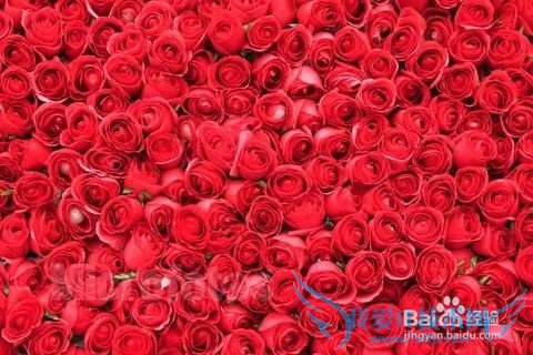 情人节送什么礼物给女友好?