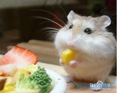 情人节送什么礼物给女友好?